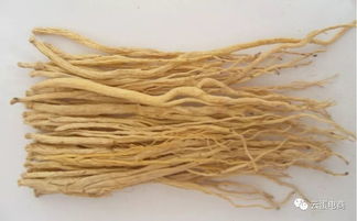 气候突变应对锦囊