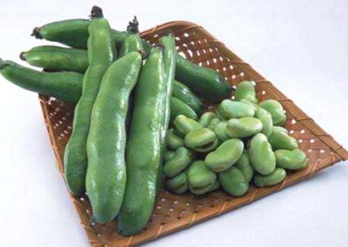 冬葵子，润肠通便