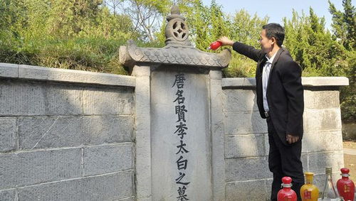 《齐民要术》里的陵园植物， 肉质根嫩固土