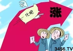 化肥的重要性， 农民的成本考量