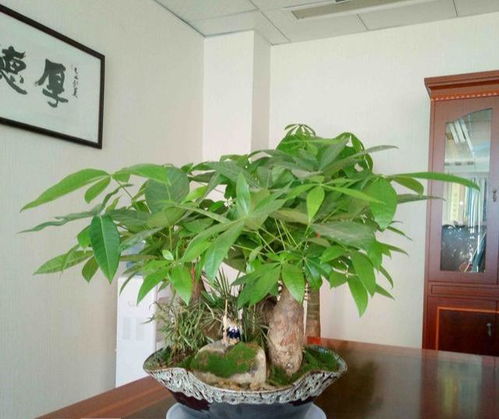 第一步：找个好地方