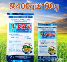 杀虫剂效果大比拼，谁才是最佳选手？
