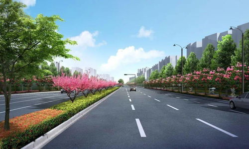 2024年城市道路边坡垂直绿化成本分析