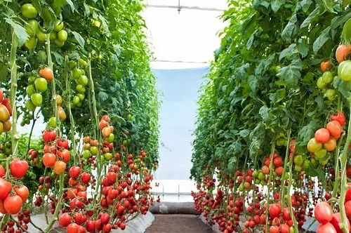 管理是关键，避开成本黑洞