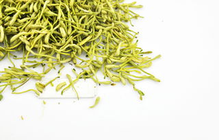 金银花能直接泡水喝吗？新鲜的行不行