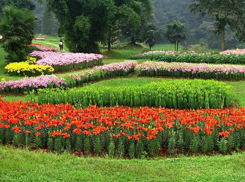 第三步：储存种子