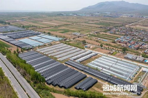 万荣县积极发展香菇产业，助力乡村振兴