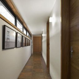 过道里的花草，你了解多少？