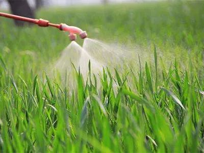 不同类型的除草剂及其作用