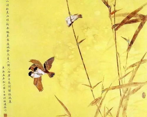 苇茎的称呼：地域文化的体现