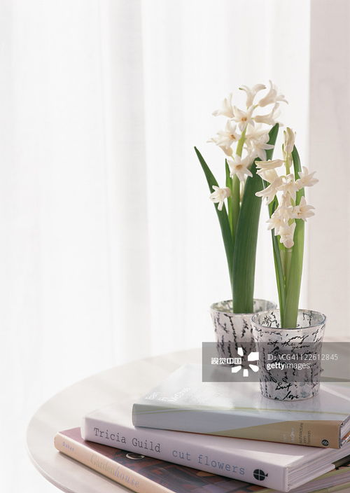 创新花卉保鲜技术：高效微波干燥系统提升花艺品质