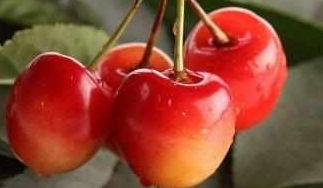 精准操作指南：