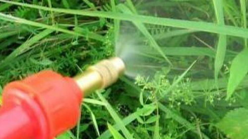 平安性好， 环保