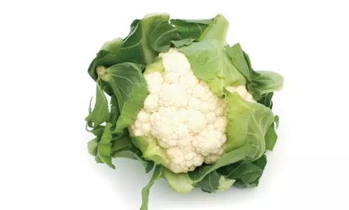 轻松养花种菜，初学者也Neng大展身手！