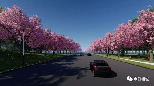 打造四季有花的景观，秘诀在这里