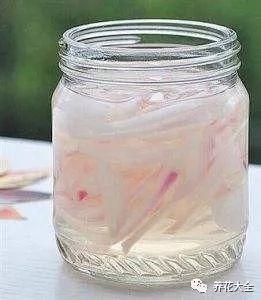 洋葱变魔法，虫子逃光光