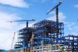 绿化工程承包网上的绿化工程劳务承包价格揭秘