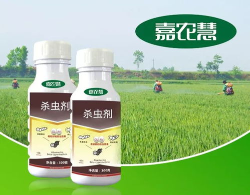 未来展望，美好无限
