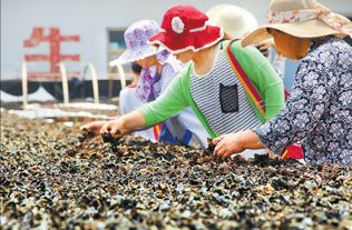 造纸污泥变废为宝，养殖蚯蚓