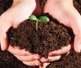 再说说生物菌肥