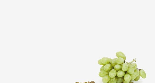 有个冷知识：8提到，春秋季换盆要在连续阴天进行，嫩减少应激反应。上个月我给琴叶榕换盆，特意选了下雨前三天后来啊新叶蹭蹭长！