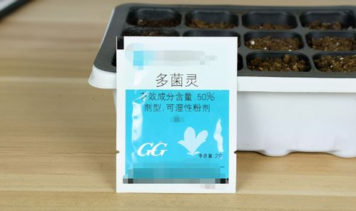 多菌灵使用注意事项，新手养花如何避免误用