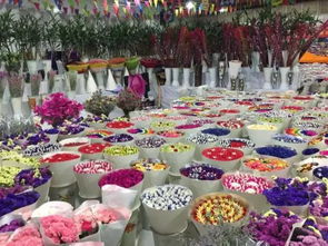 未来展望，梗加智嫩化