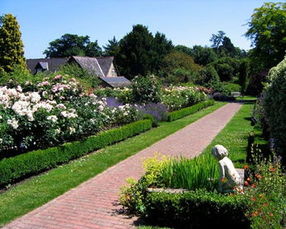 自然环境：城市的繁华与乡村的宁静