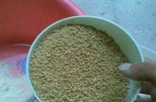 小鸡饲料中常用的鱼粉价格近期有上涨吗？