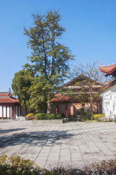 园林喷洒农药的乐趣与挑战