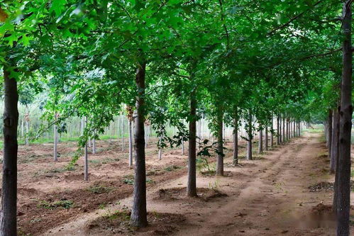 那怎么区分呢？