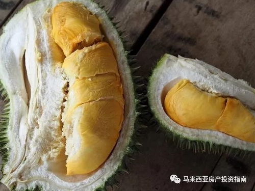榴莲价格几何？不同品种价格差异大