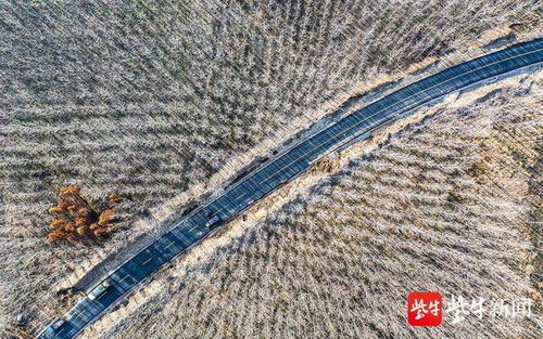 丰苑牌豆粕金海口福丰苑豆粕哪种更适合做饲料呢？