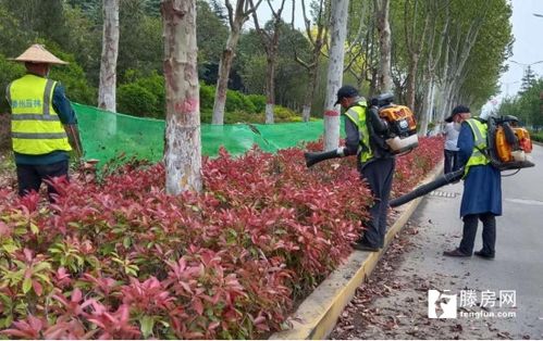 第一步：了解绿化需求， 那可不是闹着玩的