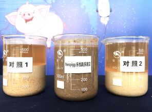 嘉吉预混料和英联预混料在成分、配方和适用性上有哪些具体区别？
