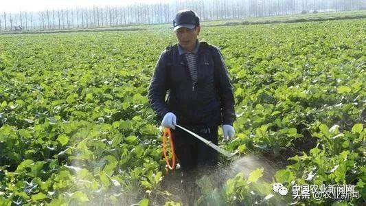 保护农作物的方法