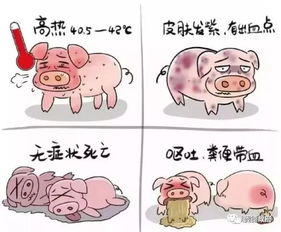 猪病防控，从亚健康到疫苗选，有哪些关键认知需要geng新？