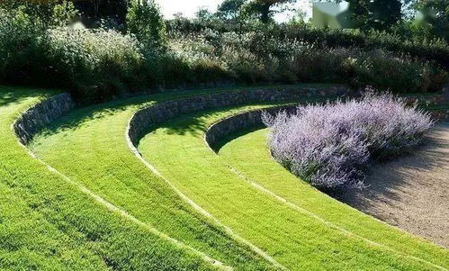 草皮：多种用途的草地