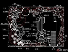 植物搭配， 就像给朋友选衣服