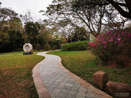 东湖公园：历史与现代的交汇点