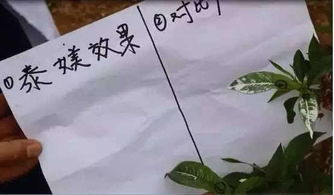 文献著录与关键词