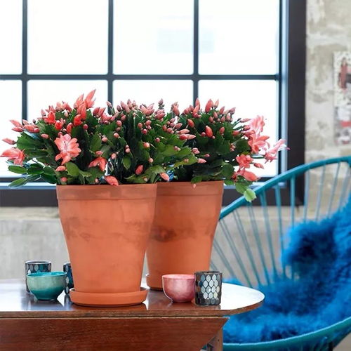 上班族养护技巧