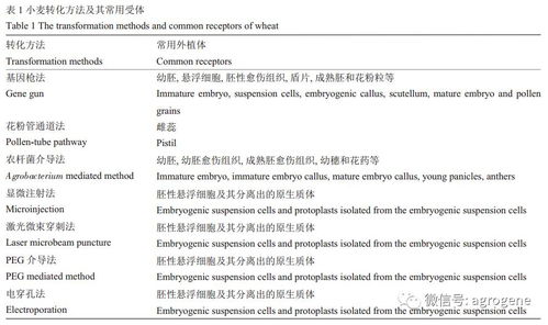 小麦丰产关键技术研究，提高产量与品质