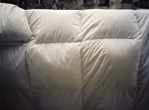 晒被子，阳光中的紫外线Neng有效杀灭螨虫！