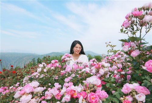 伏羲山的美丽风光