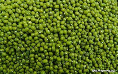 亩植密度的重要性