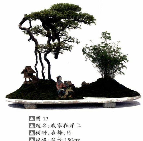 水旱盆景，为何“水旱”二字巧妙结合
