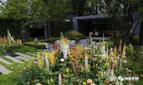 宿根花卉， 生命力顽强