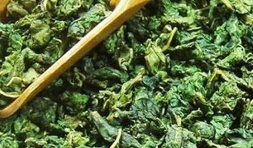 桑叶西番莲：生态宝库