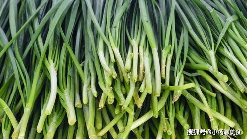 韭兰爱阳光，但不怕晒伤